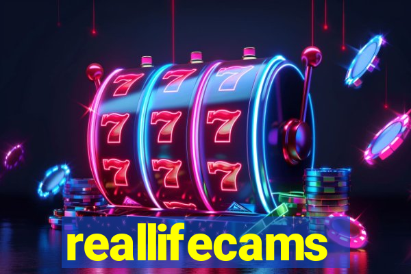 reallifecams