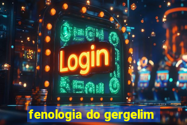 fenologia do gergelim