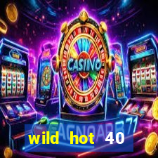 wild hot 40 christmas slot