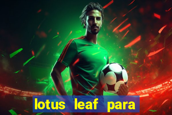 lotus leaf para que serve