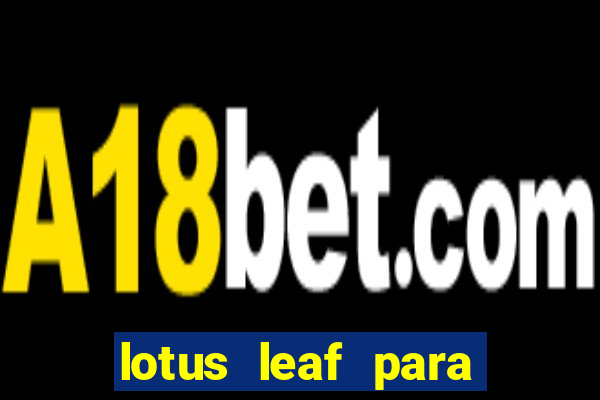 lotus leaf para que serve