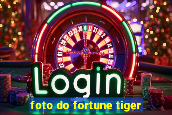 foto do fortune tiger