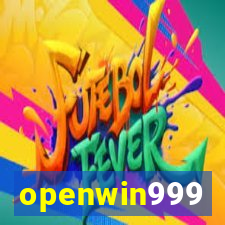 openwin999