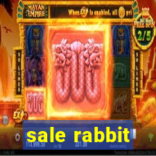 sale rabbit