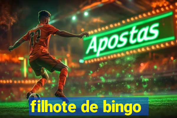 filhote de bingo