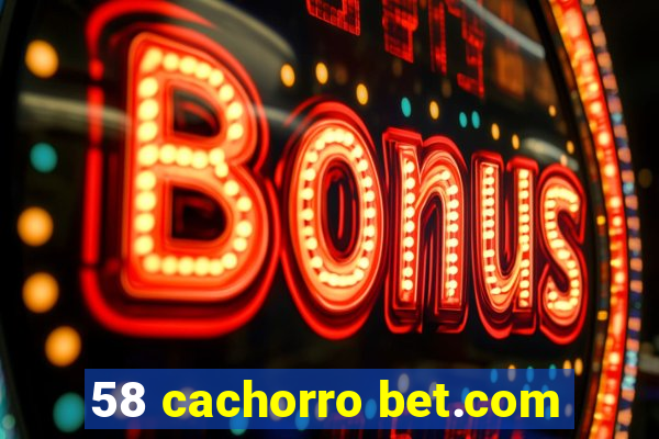 58 cachorro bet.com