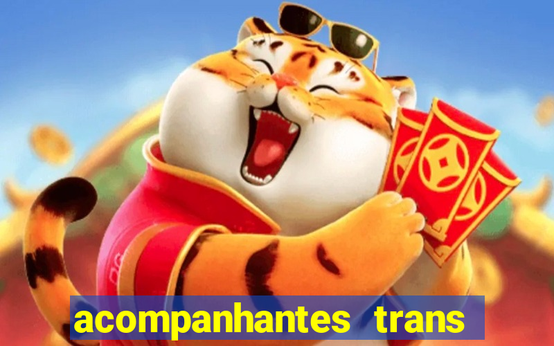 acompanhantes trans em santos