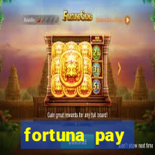 fortuna pay consultoria financeira ltda