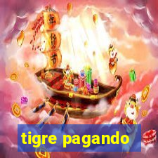 tigre pagando