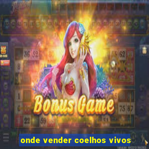 onde vender coelhos vivos