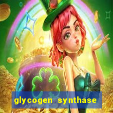 glycogen synthase kinase 3 beta