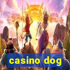 casino dog