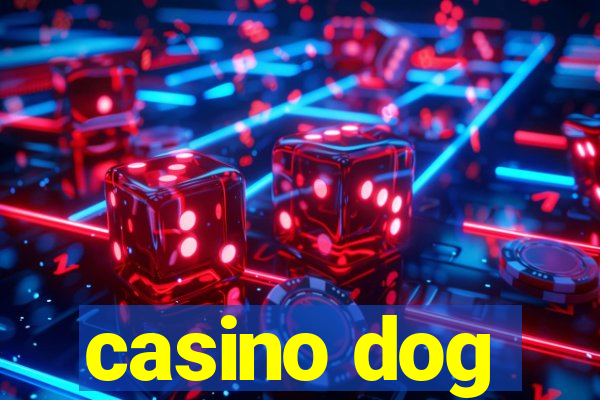 casino dog