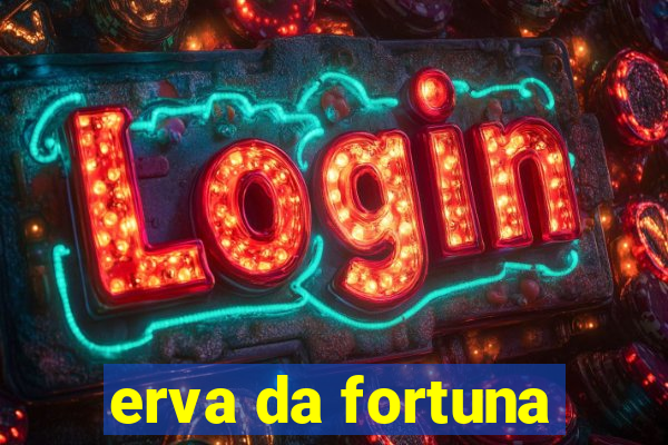 erva da fortuna