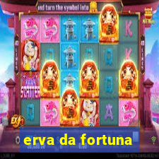 erva da fortuna