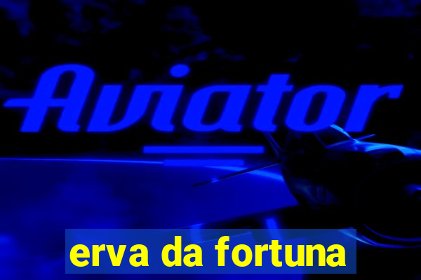 erva da fortuna