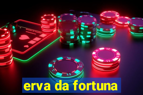 erva da fortuna