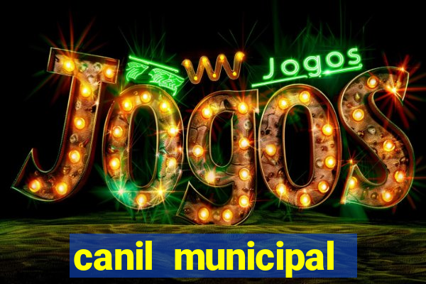 canil municipal porto alegre