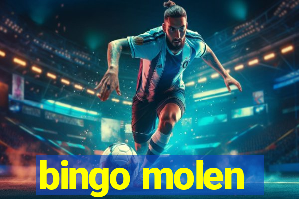 bingo molen