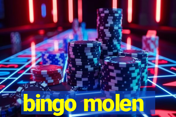 bingo molen