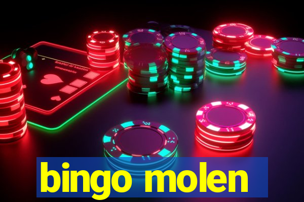 bingo molen