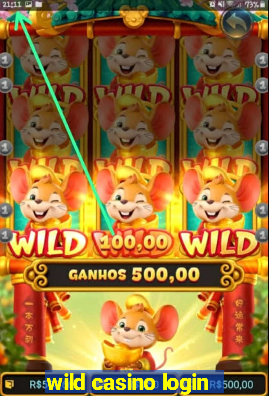 wild casino login