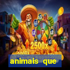 animais que produzem alimentos