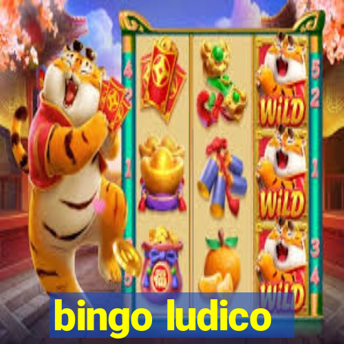 bingo ludico