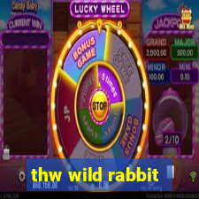 thw wild rabbit