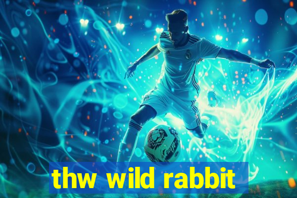 thw wild rabbit