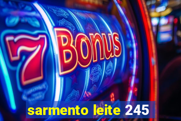 sarmento leite 245