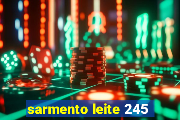 sarmento leite 245