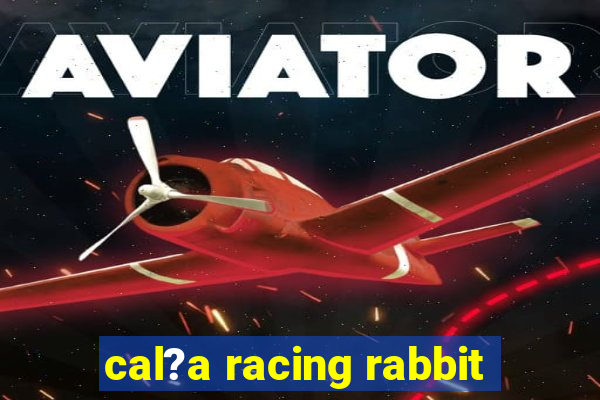 cal?a racing rabbit