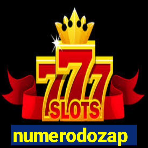 numerodozap