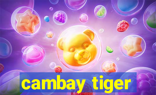 cambay tiger