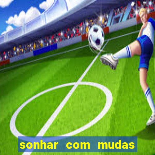 sonhar com mudas de plantas