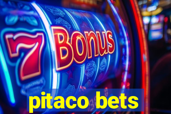 pitaco bets