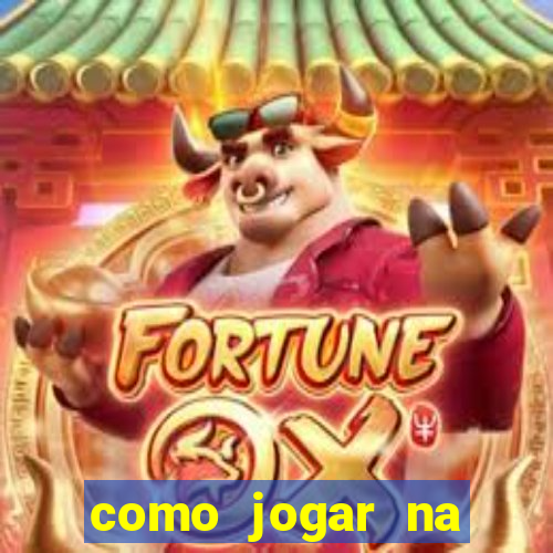 como jogar na bolsa online