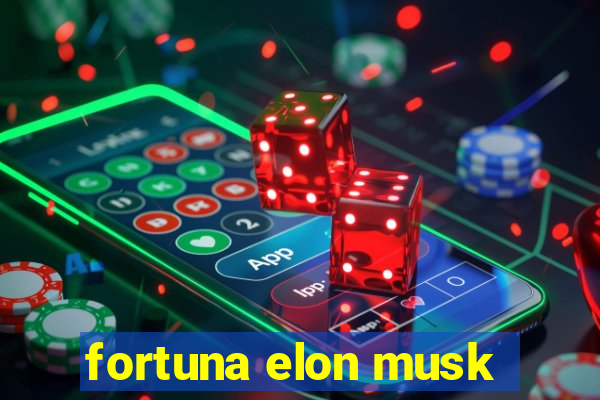 fortuna elon musk