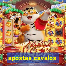 apostas cavalos