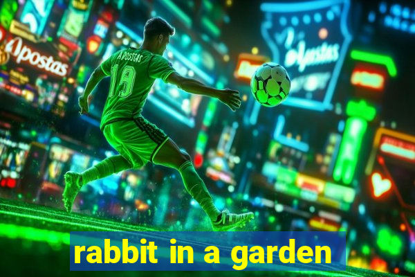 rabbit in a garden