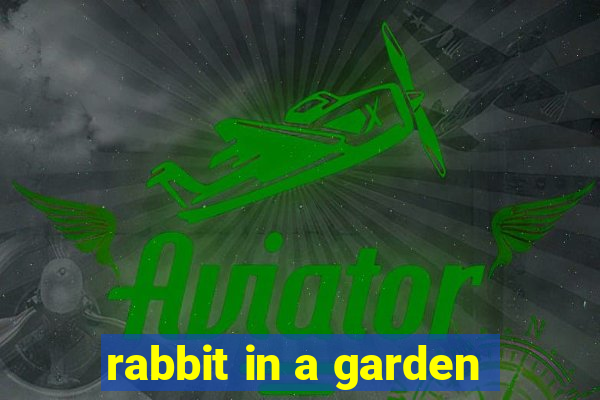 rabbit in a garden