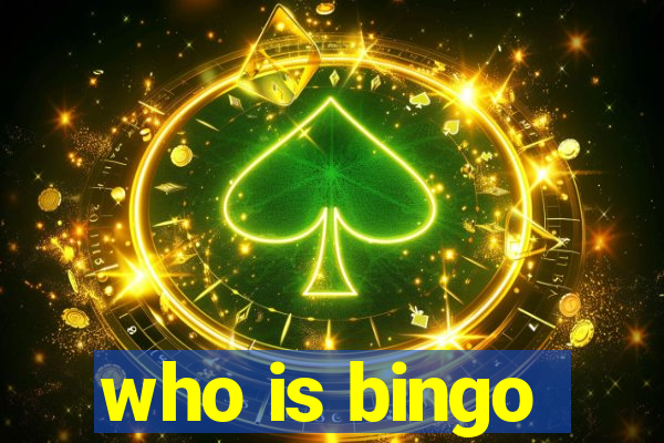 who is bingo