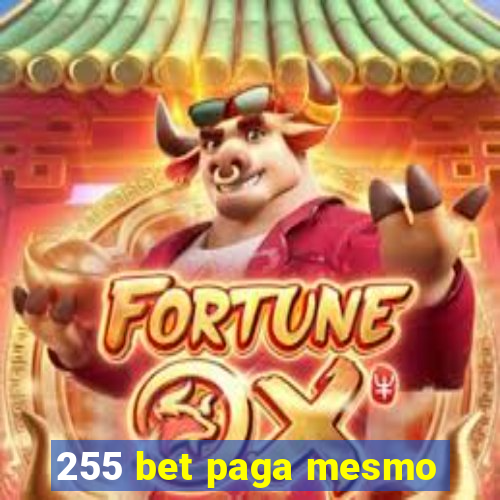 255 bet paga mesmo