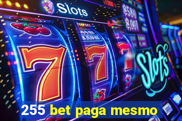 255 bet paga mesmo