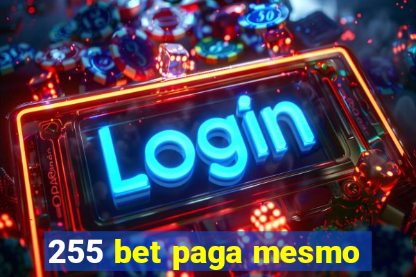 255 bet paga mesmo