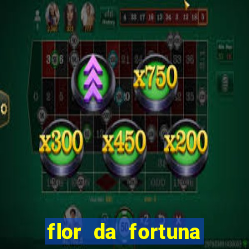 flor da fortuna como cuidar