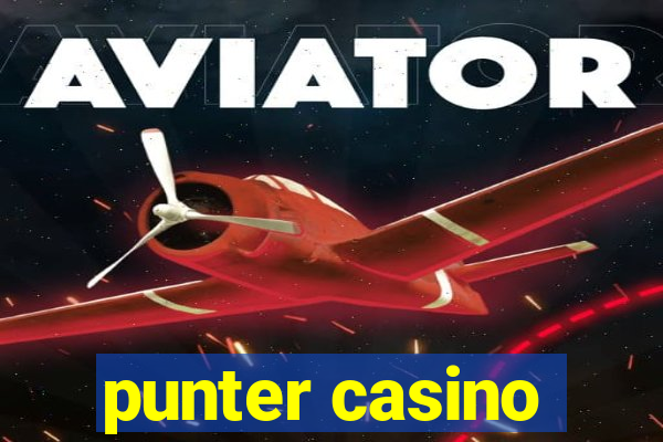 punter casino