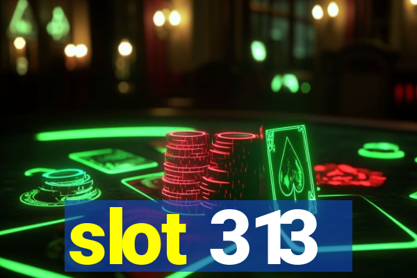 slot 313