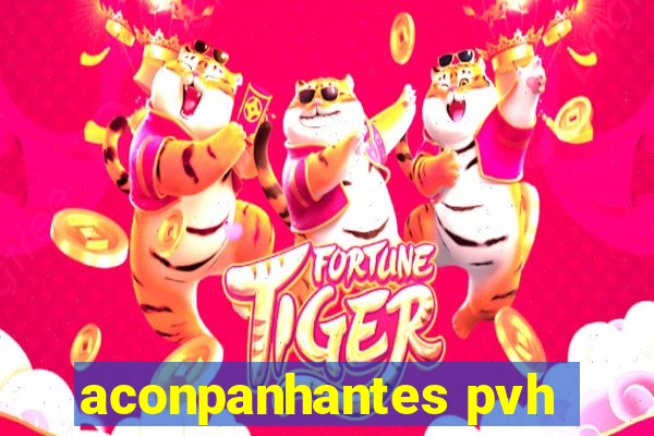 aconpanhantes pvh